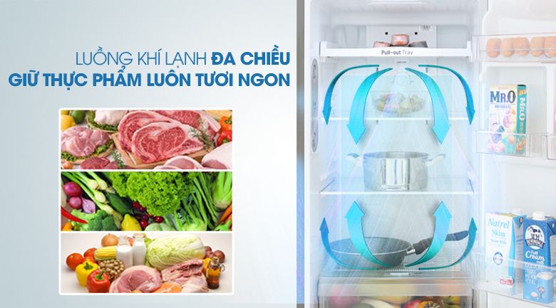 Tủ lạnh LG Inverter 255 lít GN-M255PS - hình 4