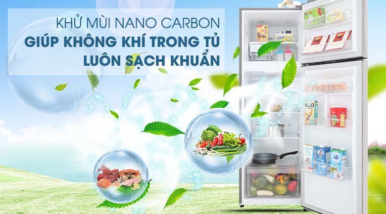 Tủ lạnh LG Inverter 255 lít GN-M255PS - hình 5