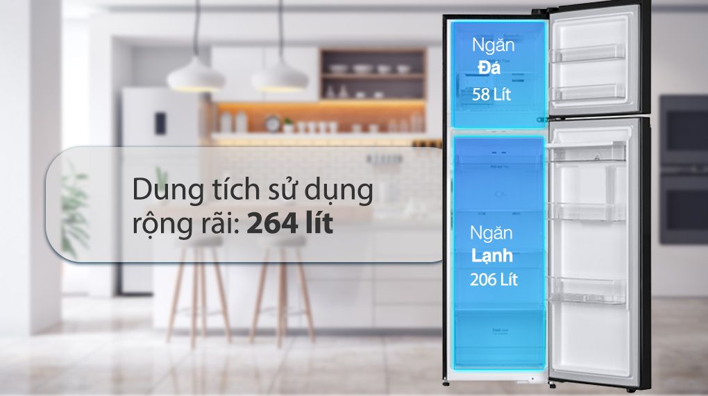 Tủ lạnh LG Inverter 264 Lít GV-D262BL - hình 2