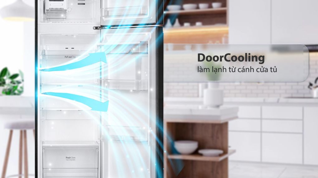 Tủ lạnh LG Inverter 264 Lít GV-D262BL - hình 4