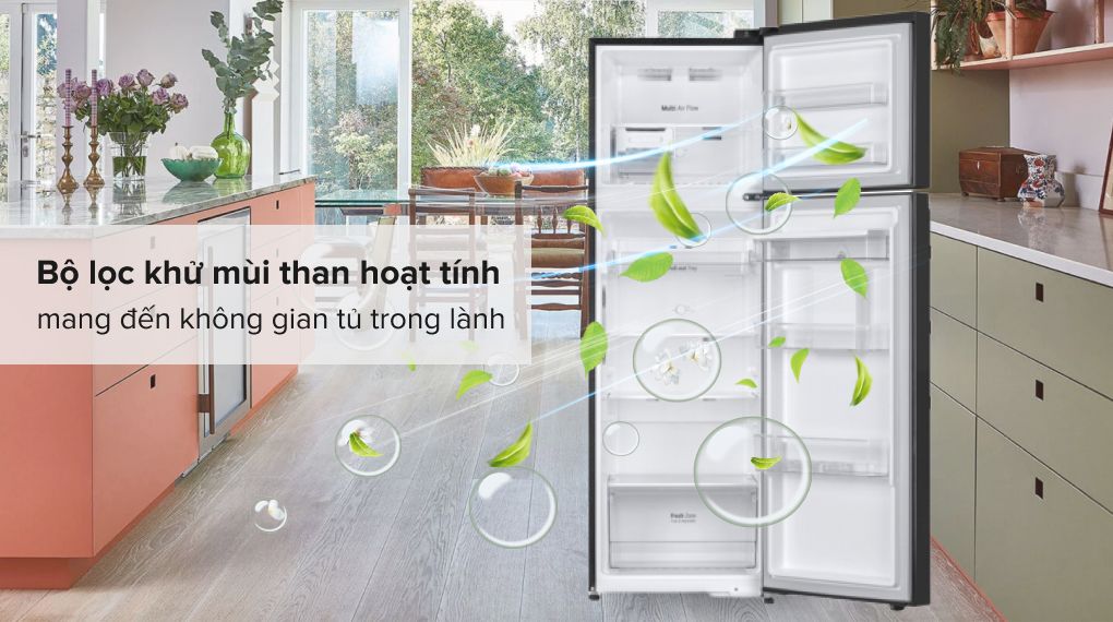 Tủ lạnh LG Inverter 264 Lít GV-D262BL - hình 5
