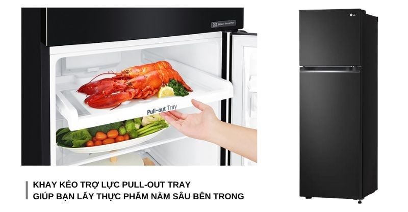 Tủ Lạnh LG Inverter 266 Lít GV-B262BL - hình 2