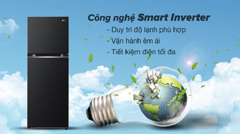 Tủ Lạnh LG Inverter 266 Lít GV-B262BL - hình 4