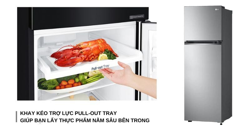 Tủ Lạnh LG Inverter 266 Lít GV-B262PS - hình 2