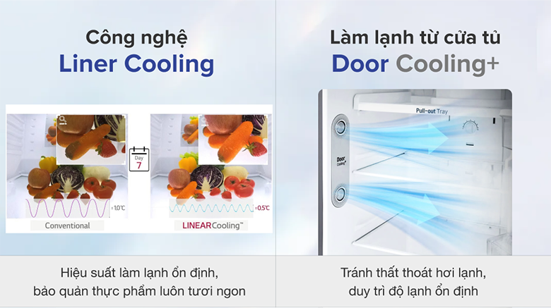 Tủ lạnh LG Inverter 315 Lít GN-M312PS - hình 4