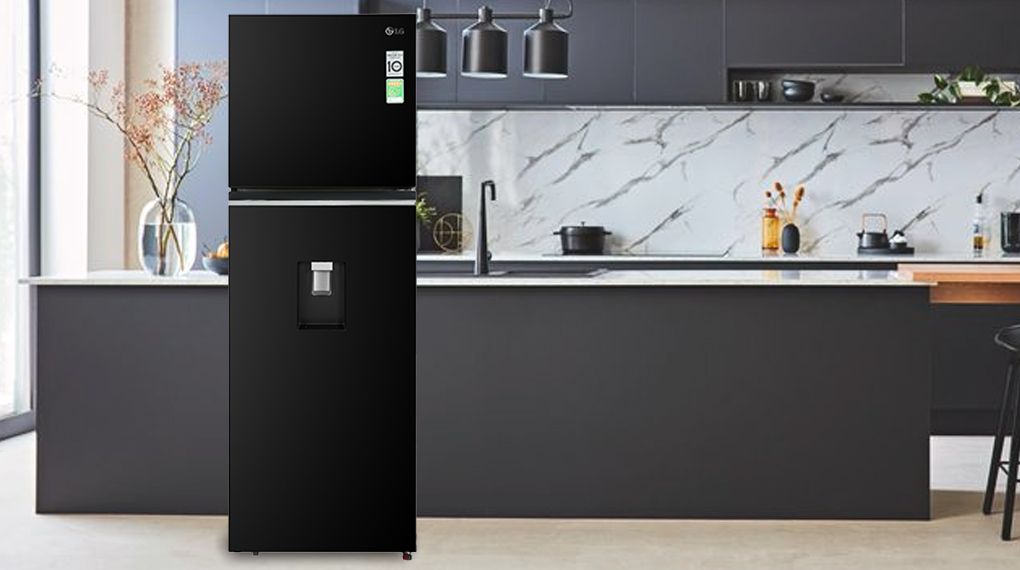 Tủ lạnh LG Inverter 334 lít GN-D332BL - hình 1