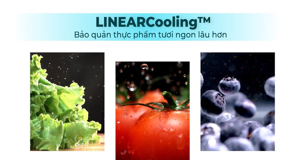 Tủ Lạnh LG Inverter 335 Lít GN-B332BG - hình 3