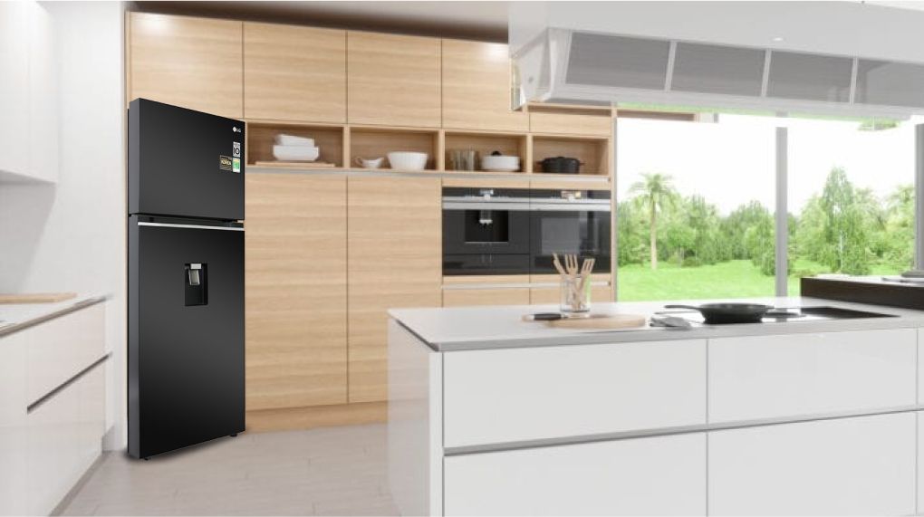 Tủ Lạnh LG Inverter 374 Lít GN-D372BL - hình 1