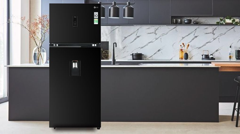 Tủ lạnh LG Inverter 374 lít GN-D372BLA - hình 1