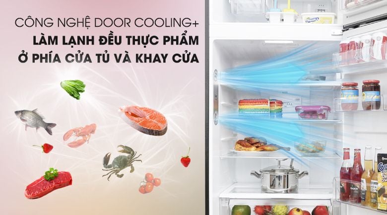 Tủ lạnh LG Inverter 393 lít GN-L422GB - hình 5