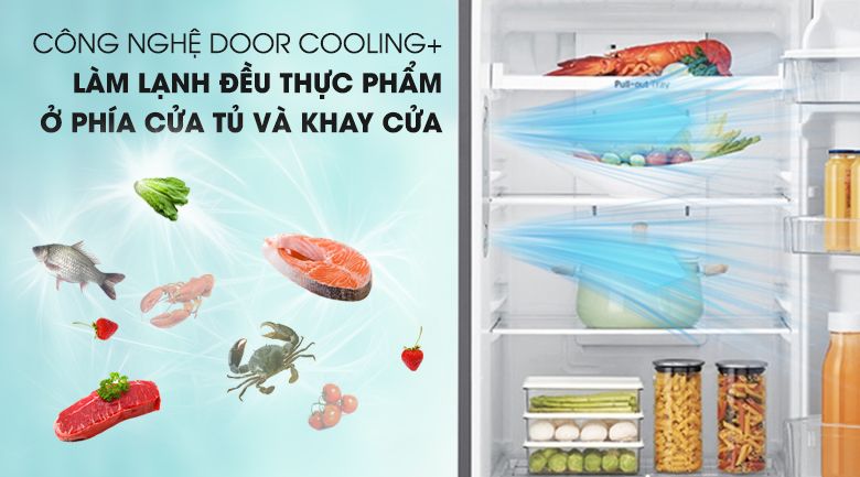 Tủ lạnh LG Inverter 393 lít GN-M422PS - hình 5