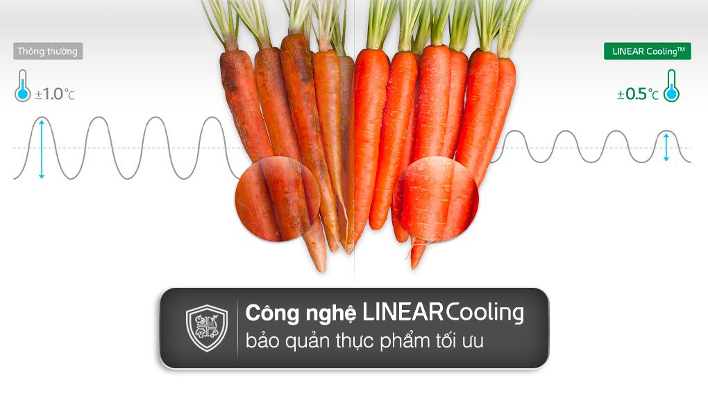 Tủ Lạnh LG Inverter 496 Lít GR-X22MBI - hình 5