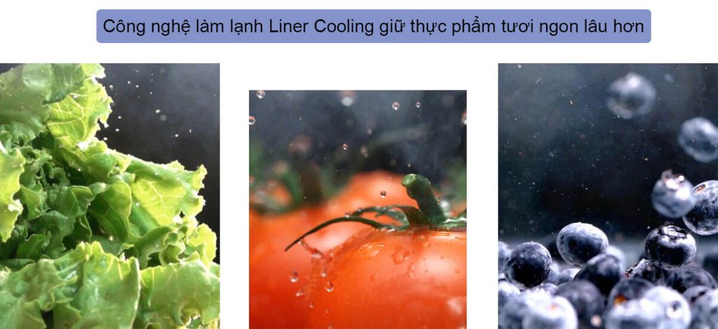 Tủ Lạnh LG Inverter 506 Lít GN-L702GBI - hình 3