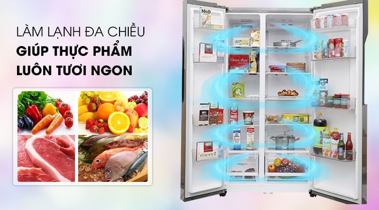 Tủ lạnh LG Inverter 613 lít GR-B247JDS - hình 2