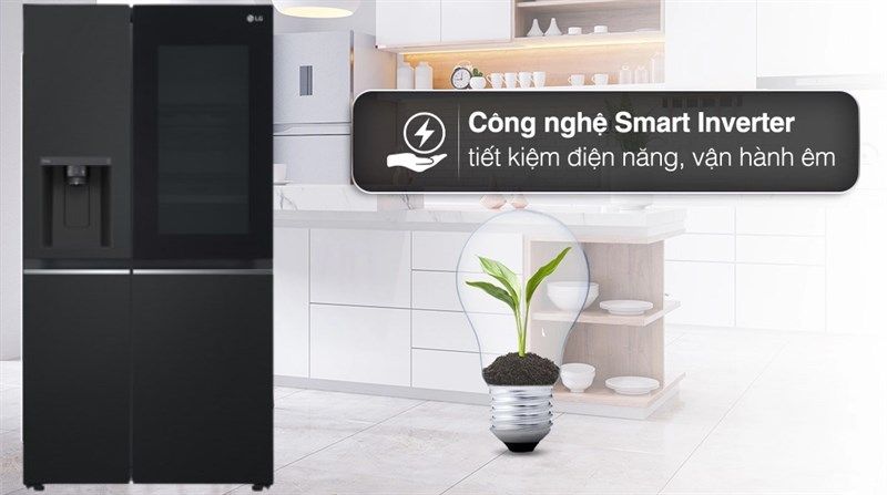 Tủ Lạnh LG Inverter 635 Lít GR-G257BL - hình 3