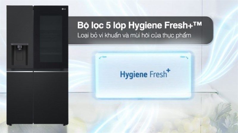 Tủ Lạnh LG Inverter 635 Lít GR-G257BL - hình 5