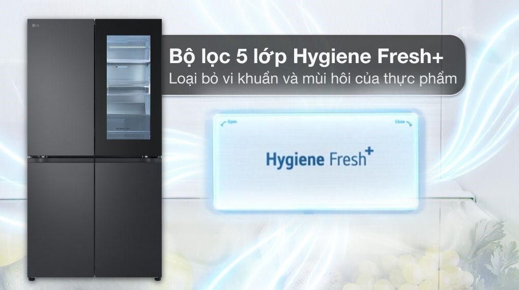 Tủ Lạnh LG Inverter 666 Lít LFB66BLMI - hình 5