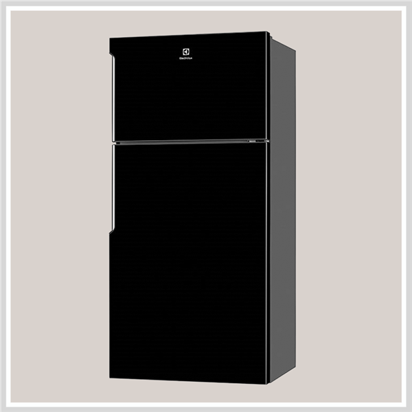 Tủ Lạnh Model 2019 Electrolux ETB5400B-H - hình 1