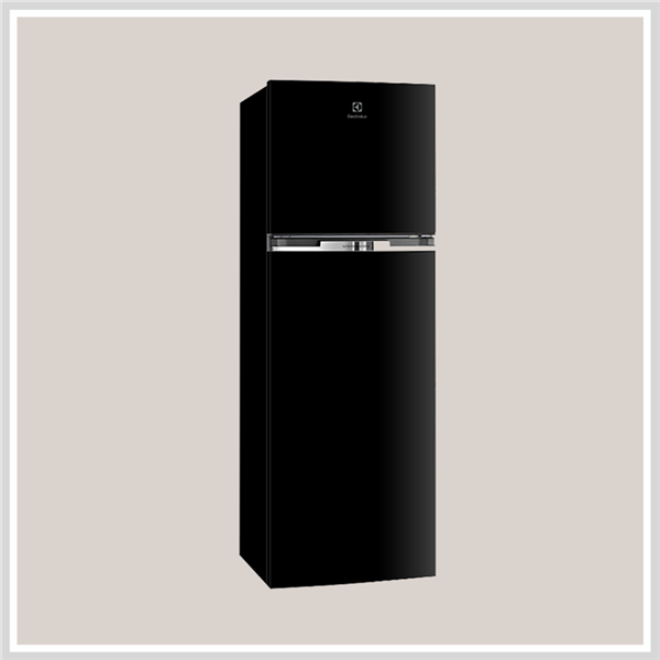 Tủ Lạnh Model Mới Electrolux ETB3700H-H - hình 1