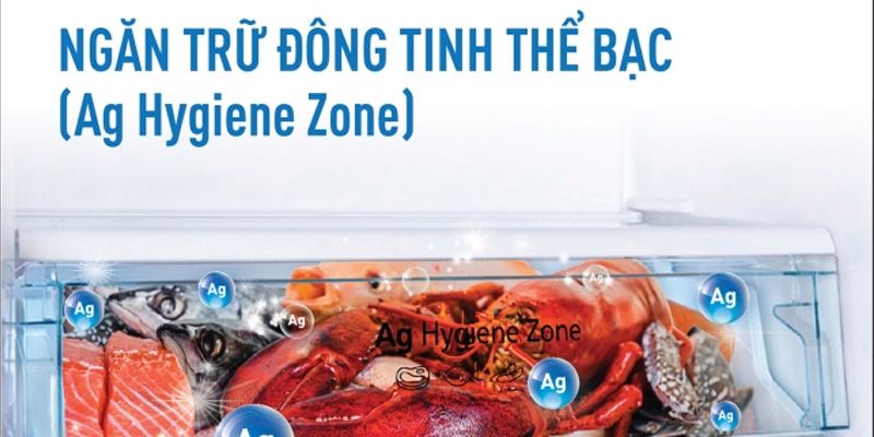 Tủ Lạnh Panasonic 366 Lít NR-TL381GPKV - hình 3