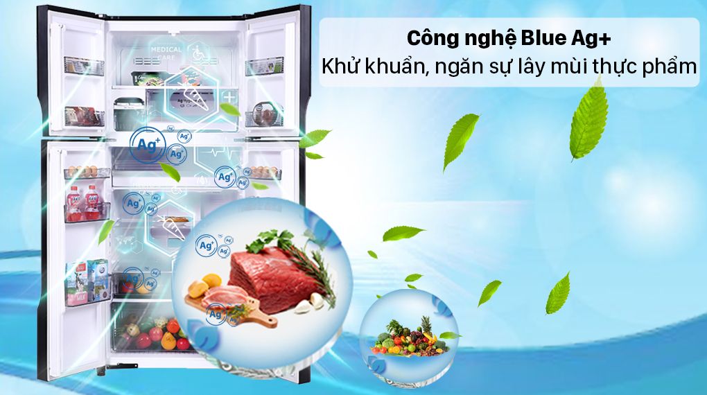 Tủ lạnh Panasonic Inverter 550 lít NR-DZ601VGKV - hình 2