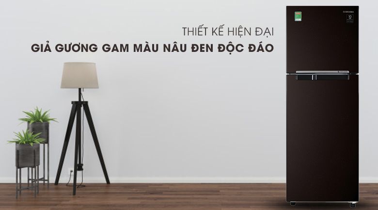 Tủ lạnh Samsung Inverter 236 lít RT22M4032BY/SV - hình 3