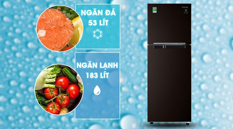 Tủ lạnh Samsung Inverter 236 lít RT22M4032BY/SV - hình 4