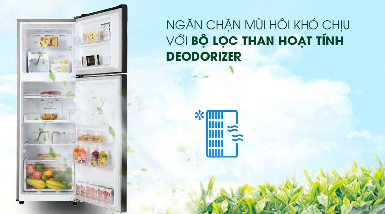 Tủ lạnh Samsung Inverter 256 lít RT25M4032BU/SV - hình 2