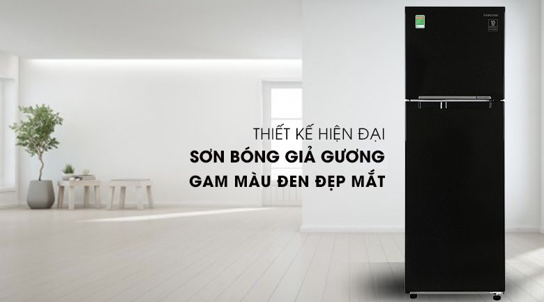 Tủ lạnh Samsung Inverter 256 lít RT25M4032BU/SV - hình 5