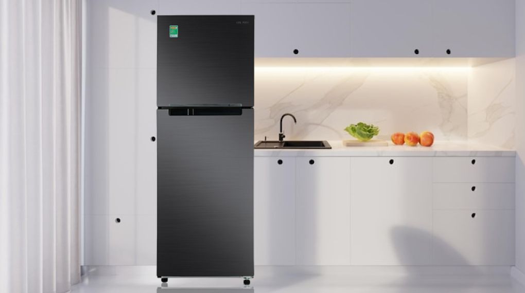 Tủ lạnh Samsung Inverter 302 Lít RT29K503JB1/SV - hình 1