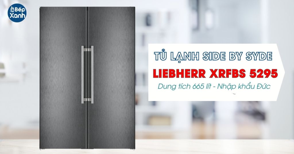 Tủ Lạnh Sybe By Syde Liebherr XRFbs 5295 - hình 1