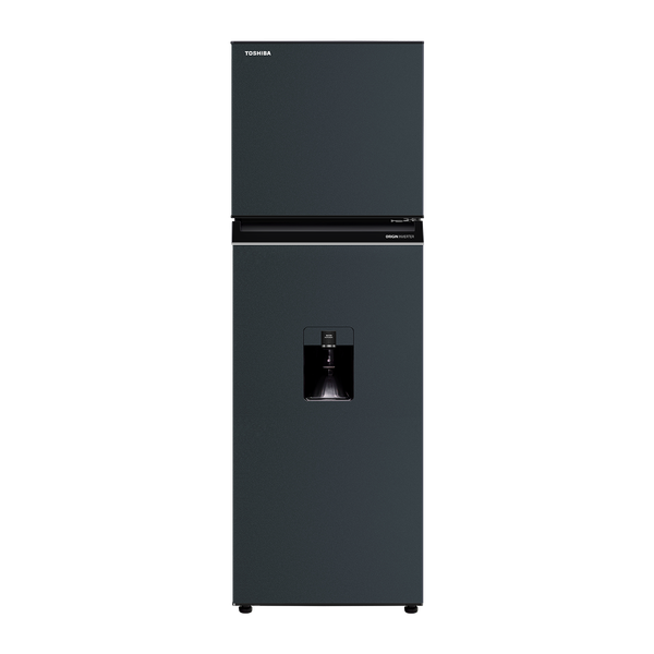 Tủ Lạnh Toshiba 249L GR-RT325WE-PMV(06)-MG