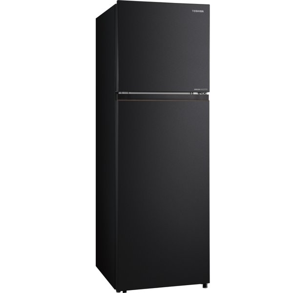 Đánh giá Tủ Lạnh Toshiba NaturePURE 271L GR-RT349WE-PMV(68)